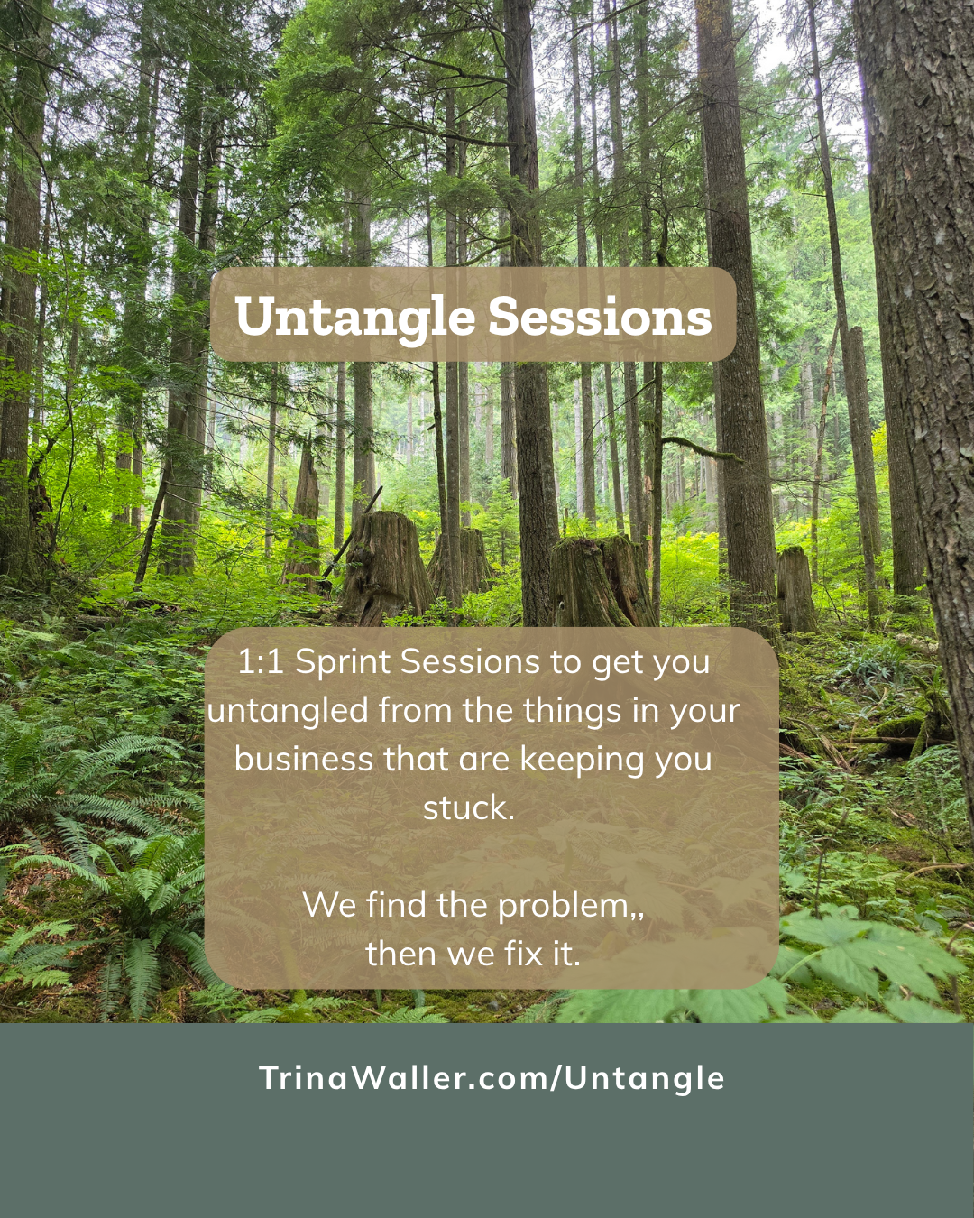 The Untangle Sessions