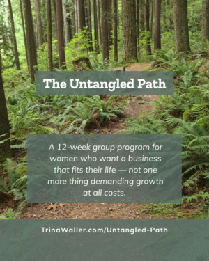The Untangled Path - Pay in Full